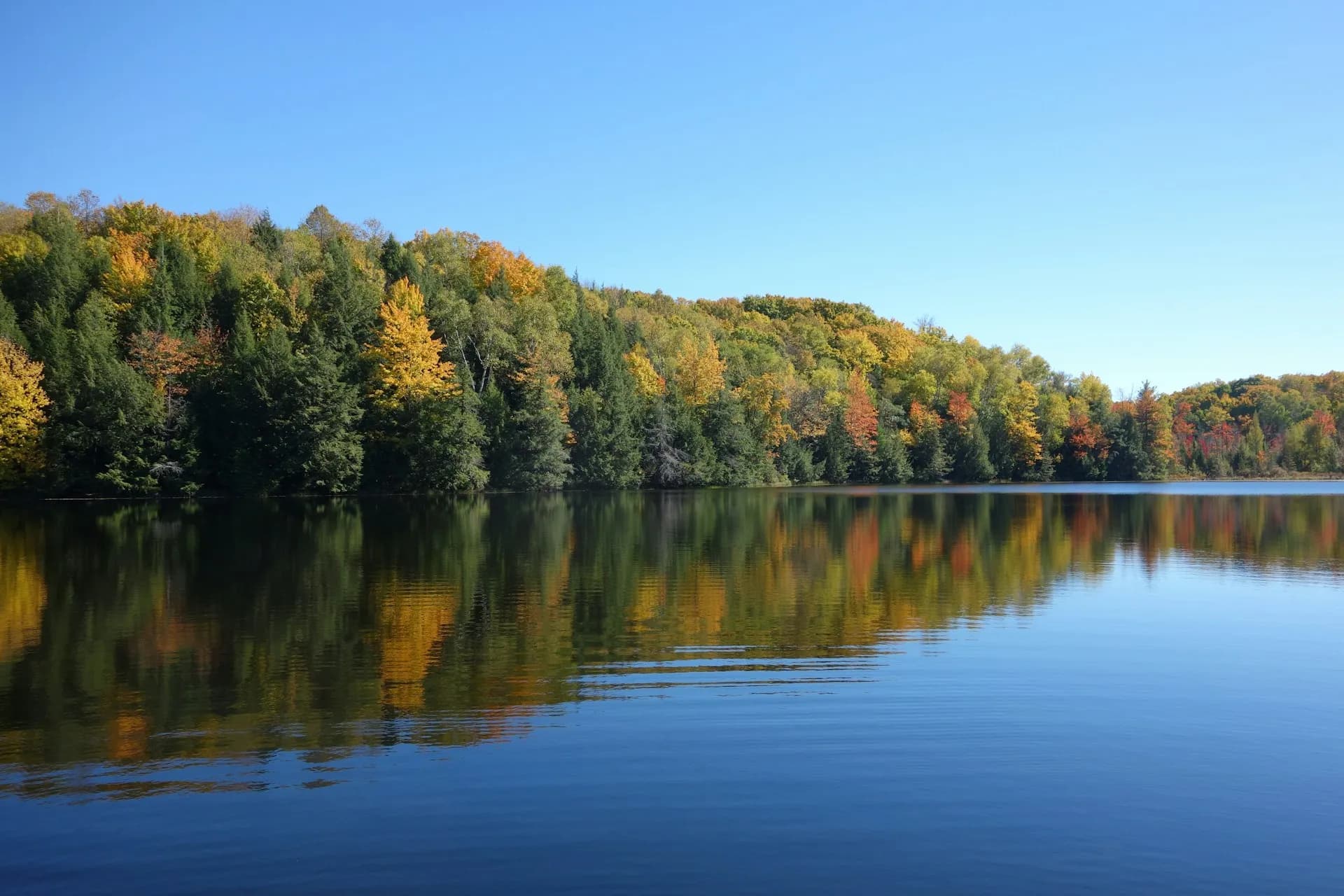 Park Krajobrazowy Pojezierza Iławskiego: przyrodnicze skarby regionu